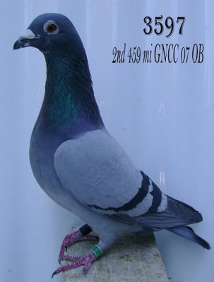 3597.JPG