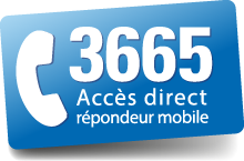 logo-3665.png