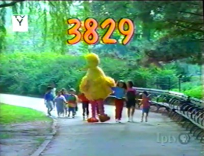 3829.jpg