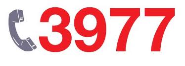 3977-bisd.jpg