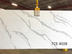 TCE4028.jpg