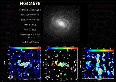 fig1.4579.gif