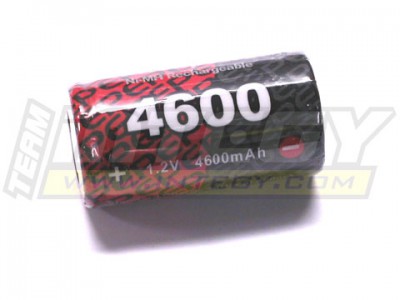 4600.jpg